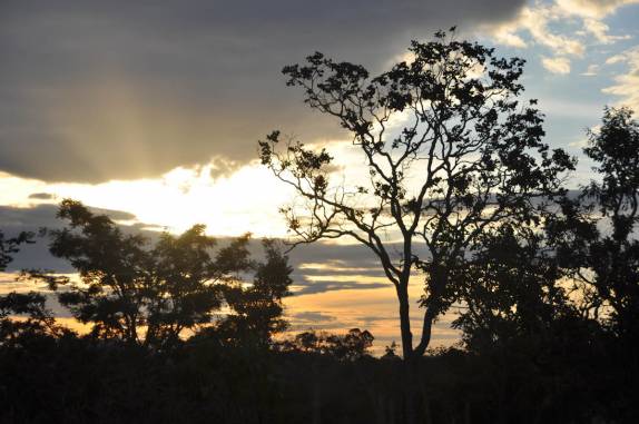 Pôr-do-sol no cerrado, próximo à Riachão, na Chapada das Mesas - MA